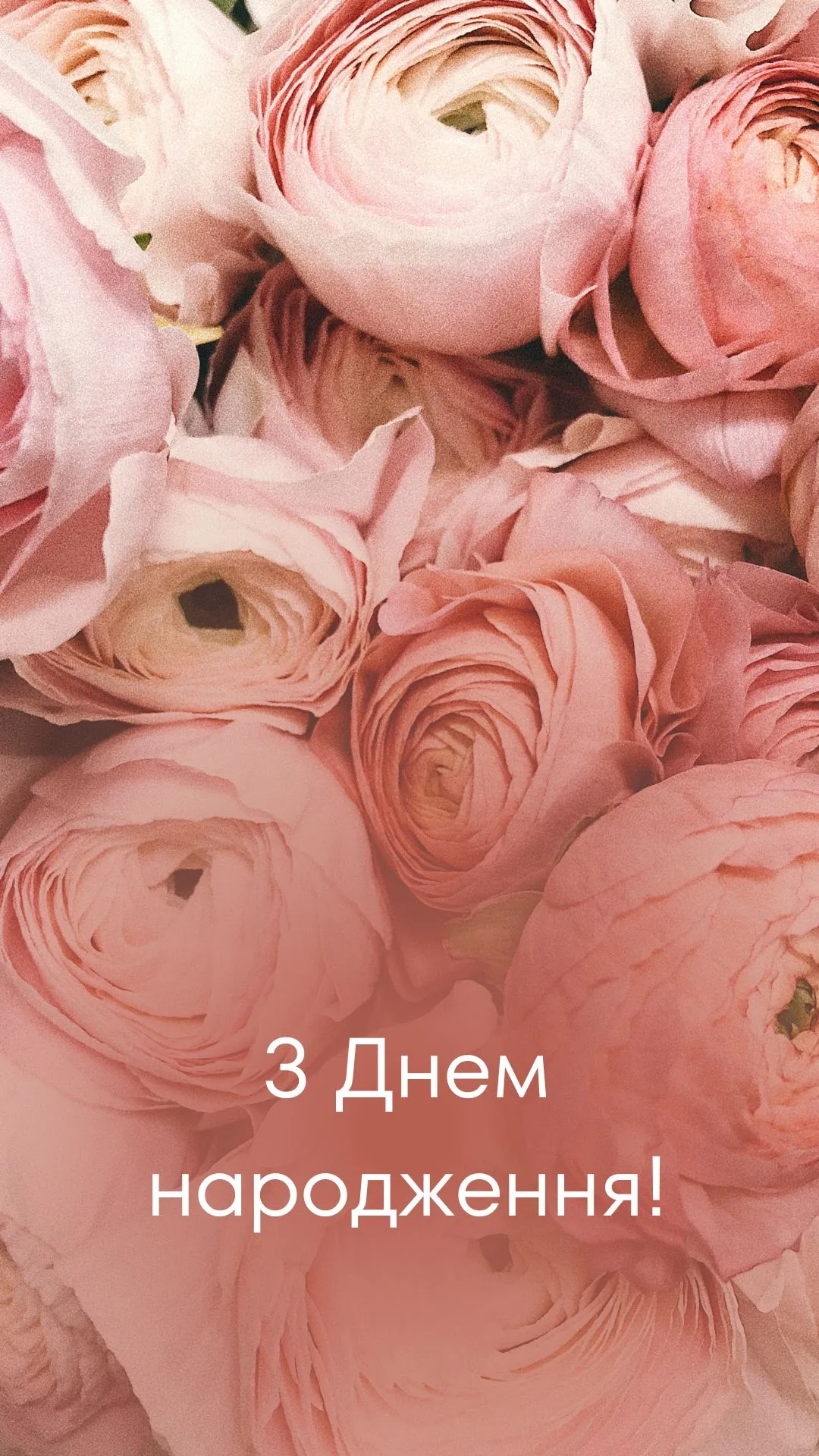 гарні квіти з днем народження картинки - листівка 12