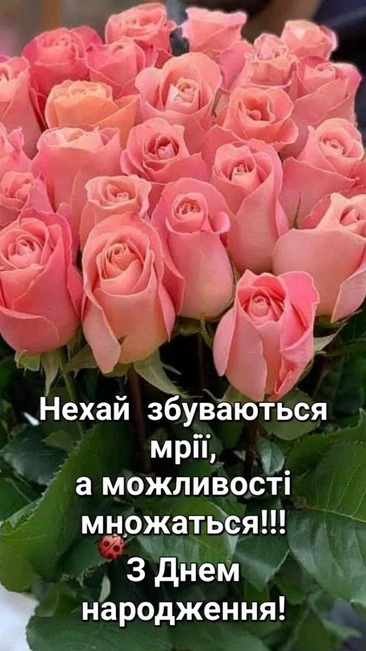 квіти з днем народження картинки - листівка 5