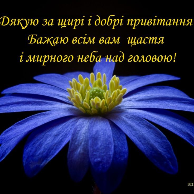 подяка за привітання з днем народження - листівка 4