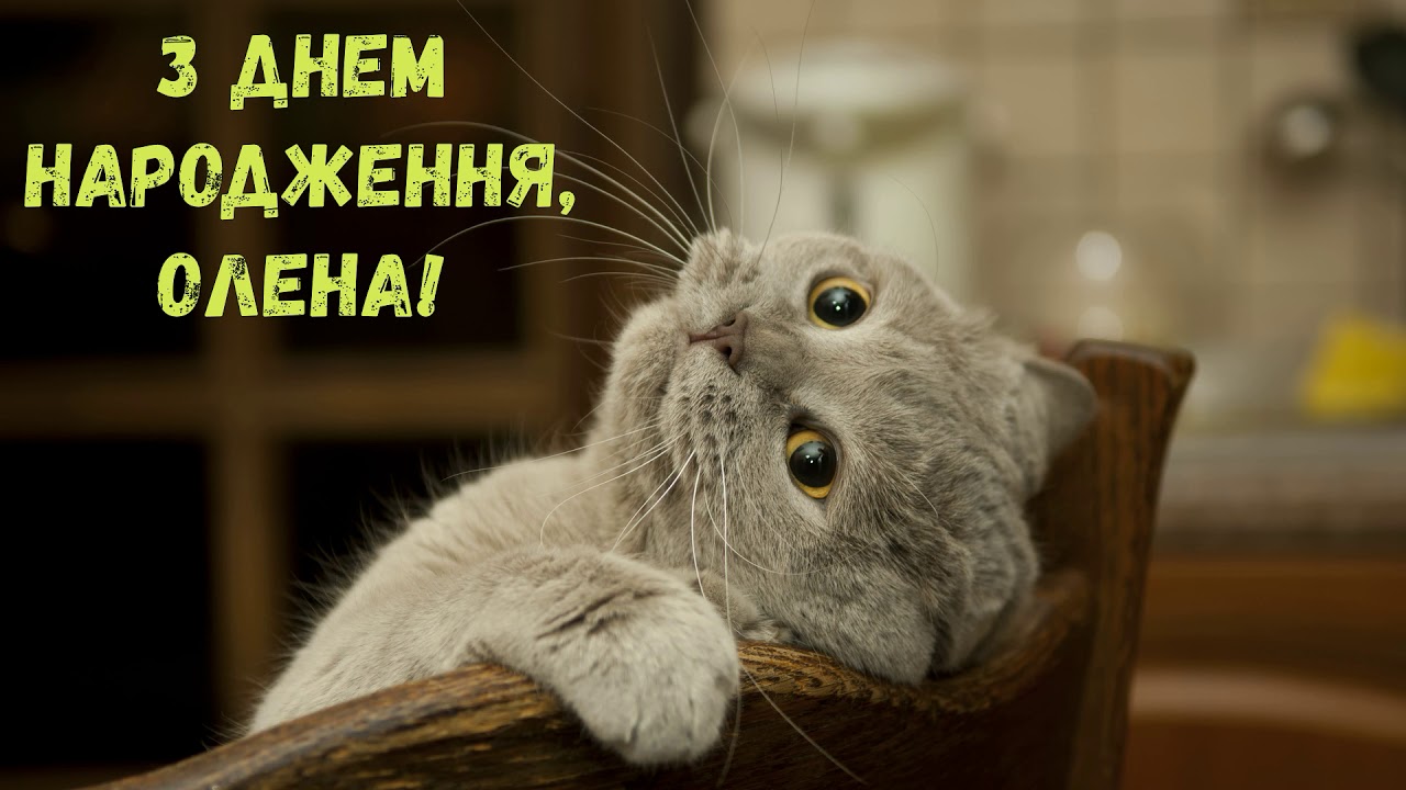 привітання з днем народження олені - листівка 14