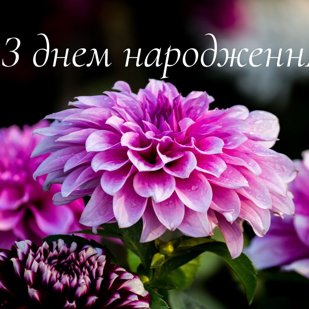 привітання з днем народження свасі своїми словами - листівка 7