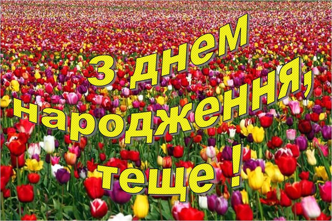 привітання з днем народження зятю від тещі - листівка 17