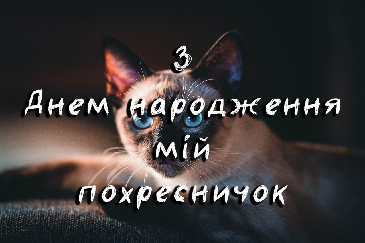з днем народження похреснику картинки - листівка 21