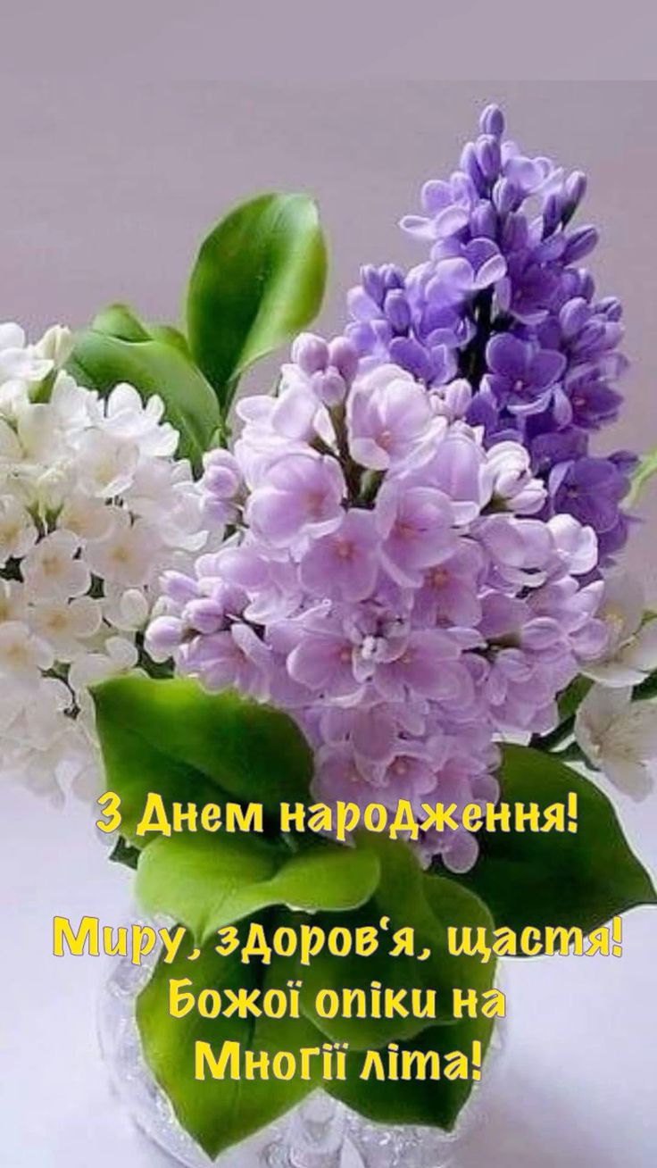 з днем народження від картинки - листівка 16