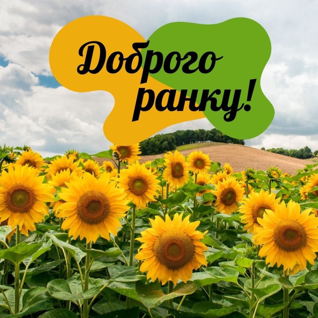 гарні привітання з добрим ранком - листівка 10