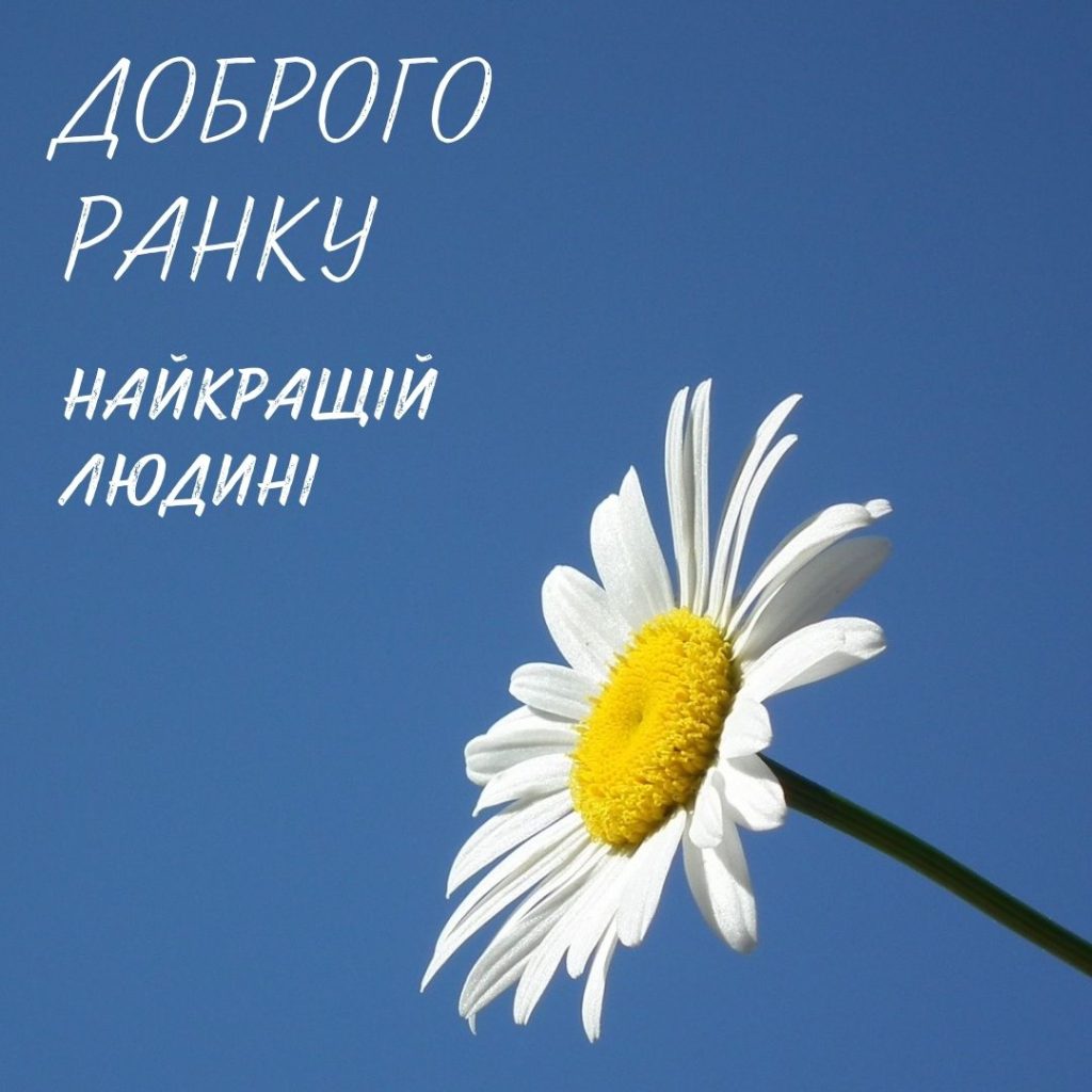 гарні привітання з добрим ранком - листівка 8