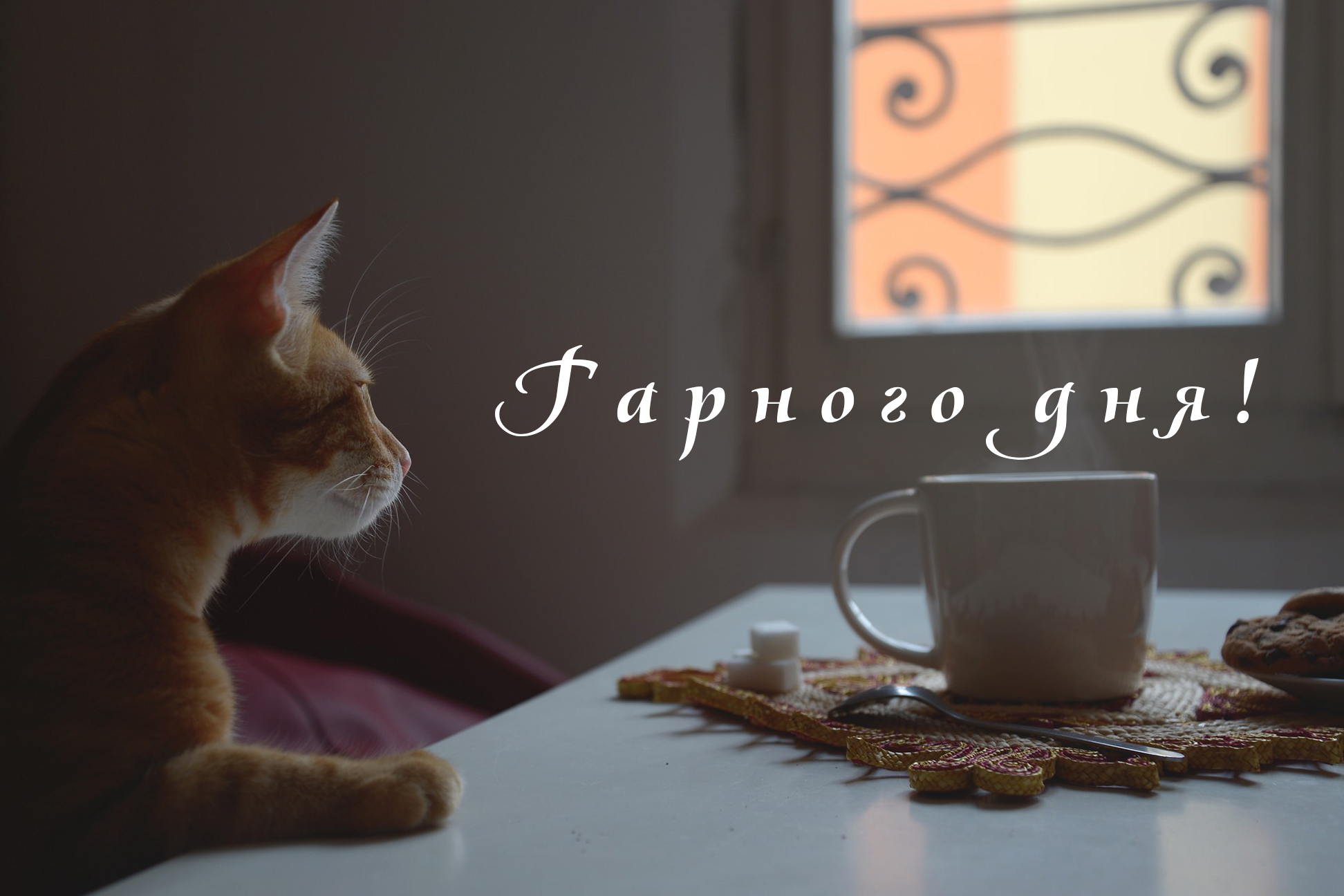 побажання доброго дня - листівка 20