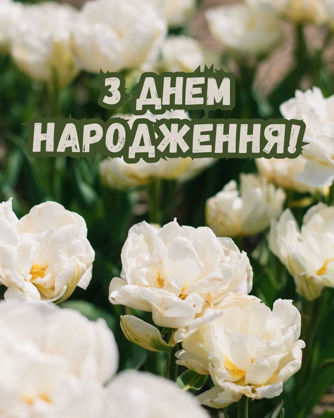 привітання з днем народження подругу своїми словами - листівка 19